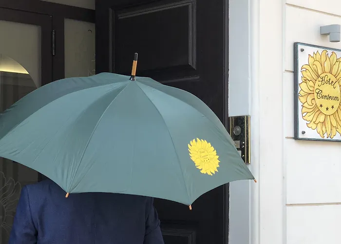 酒店 中央酒店 卡塔尼亚