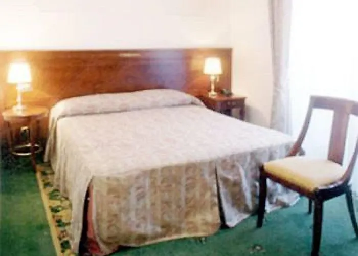 酒店 中央酒店 3*